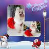 BT Bear Christmas Costume for Dogs view 4