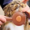 Pet Slicker Massage Comb for Cats and Dogs view 3