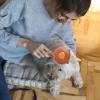 Pet Slicker Brush for Dogs and Cats view 2
