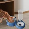 Cat Food and Water Bowls, Food and Water Bowls for Kittens view 2