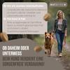 NATIVIVO Probiotics for Dogs with Heartburn – Gut Regimen Made in Germany view 2
