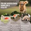 NATIVIVO Probiotics for Dogs with Heartburn – Gut Regimen Made in Germany view 3