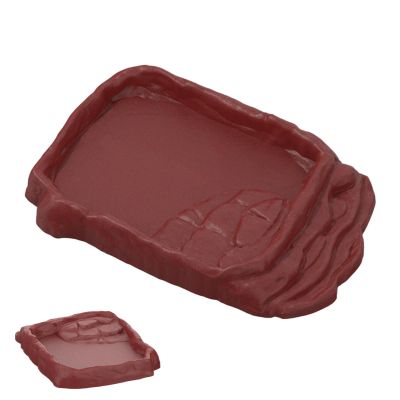 Water Bowl for Turtles and Bearded Dragons
