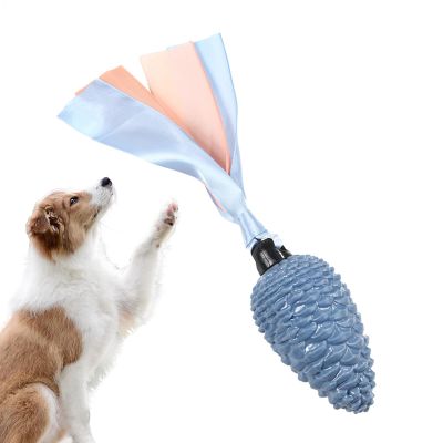 LearnLyrics Dog Toy
