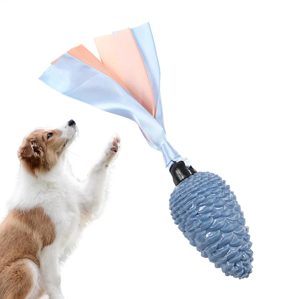 LearnLyrics Dog Toy