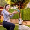 LearnLyrics Dog Toy view 3