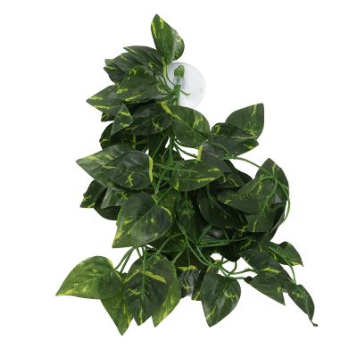 Cornesty Reptile Simulation Plant