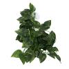 Cornesty Reptile Simulation Plant view 1