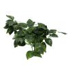 Cornesty Reptile Simulation Plant view 3