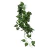 Cornesty Reptile Simulation Plant view 4