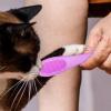Dog Finger Toothbrush view 3
