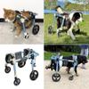 XS/S/M/L/XL/XXL Dog Wheelchair for Front and Hind Legs, Adjustable Portable Walker with Leg Braces, Blue view 2