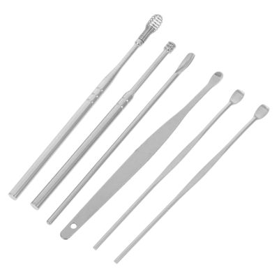 Healeved 6-Piece Stainless Steel Ear Cleaning Kit, Portable Double-Sided Earwax Remover, Silver