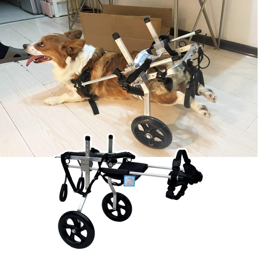 Dog Wheelchair with 2 Wheels, Adjustable for Large Dogs, Size M