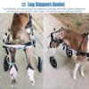 Dog Wheelchair with 2 Wheels, Adjustable for Large Dogs, Size M view 3