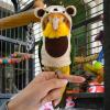 Cockatoo Costume for Pets view 4