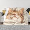 Sleeping Cat in Blanket Plush Flannel Throw, 40 x 30 in view 1