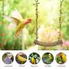 Hanging Bird Perch Swing view 3