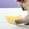 Banana Catnip Toy for Cats view 3
