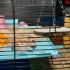lyanny Hamster Bed House Hammock view 2