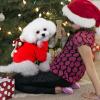 Christmas Outfit for Pets view 2