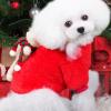 Christmas Outfit for Pets view 3