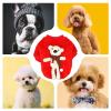Christmas Outfit for Pets view 4