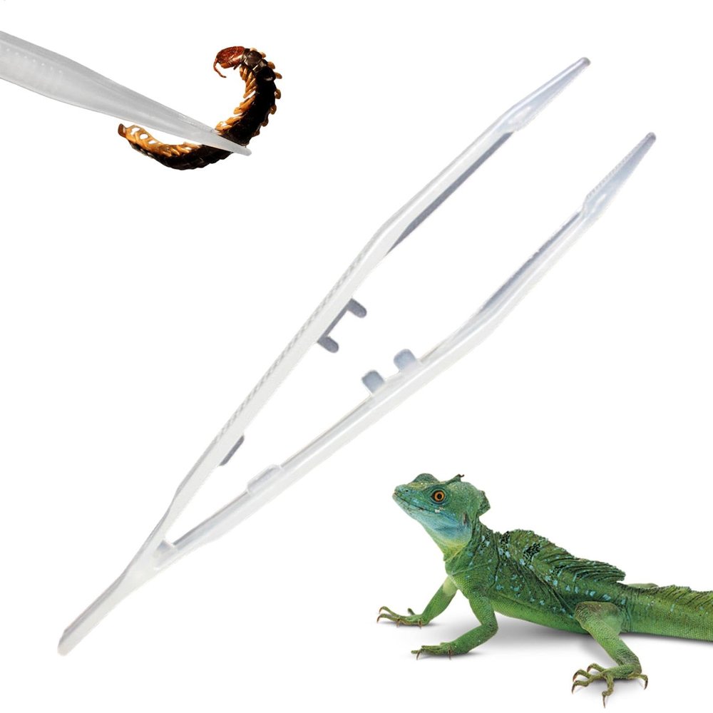 Reptile Feeding Tongs - Long Tweezers for Reptile Food