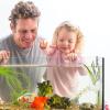 Suction Cup Plant Holder for Aquariums view 2