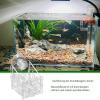 Suction Cup Plant Holder for Aquariums view 3