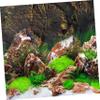 Happyyami Decorative 3D Background Panel for Turtle Tanks and Reptile Terrariums view 2