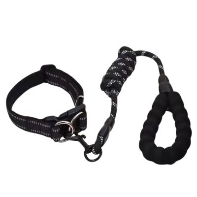 Reflective Dog Collar - Durable Adjustable Collar with Leash