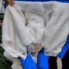 Dog Winter Coat, Waterproof Fleece Jacket with Zipper, Windproof Warm Full-Body Coat for Dogs and Puppies, B,22 view 3
