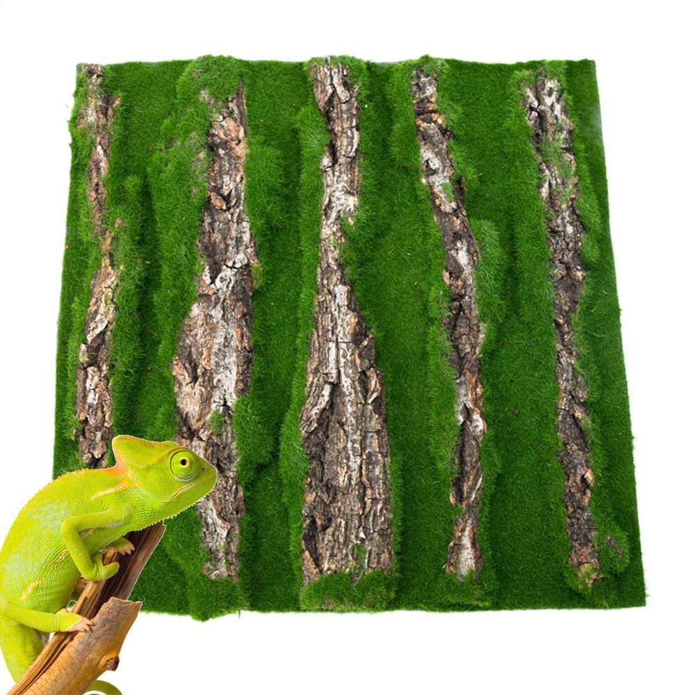 Reptile Bark Background Wall Décor