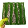 Reptile Bark Background Wall Décor view 1