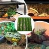 Reptile Bark Background Wall Décor view 4