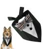 Dog Scarf for Small Dogs view 1