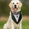Dog Scarf for Small Dogs view 2