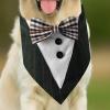 Dog Scarf for Small Dogs view 3
