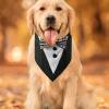 Dog Scarf for Small Dogs view 4