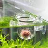 Aquarium Feeder Cup view 2
