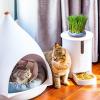 Donut-Shaped Cat Grass Planter view 3