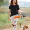 Generic Dog Treat Pouch for Puppies, Multifunctional Training Snack Bag view 2