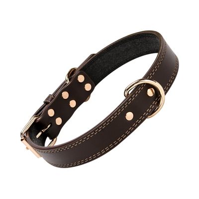 Adjustable Dog Collar with D-Ring and Studs, Size L