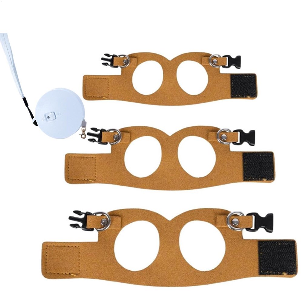 Adjustable Escape-Resistant Lizard Harness Set with Leash, 3-Pack