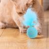 Cat Ball with Feather view 2