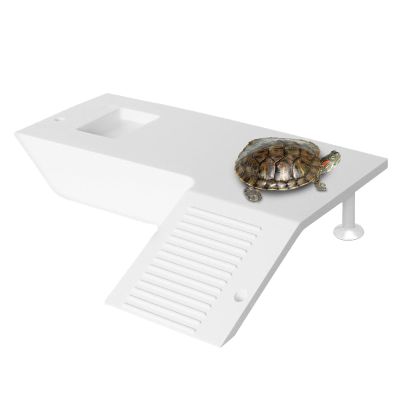 Raypontia Turtle Basking Area and Platform