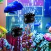 Milisten Magnetic Aquarium Brush view 4