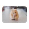YFSGDLBN Diatomaceous Earth Mat, Washable Entryway Mat, Chestnut Hamster view 1