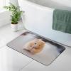 YFSGDLBN Diatomaceous Earth Mat, Washable Entryway Mat, Chestnut Hamster view 2